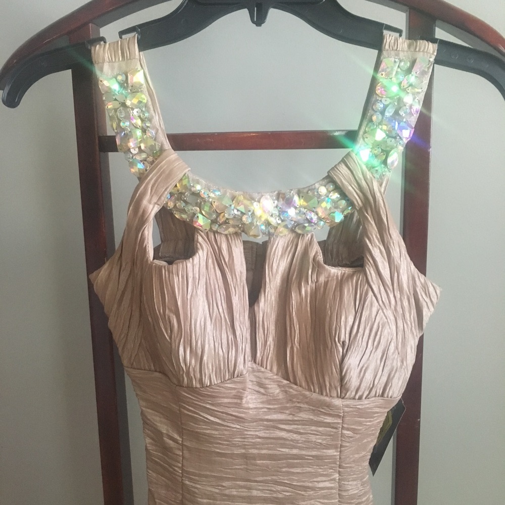 NWT Nude/Champagne And Crystal Cocktail Dress